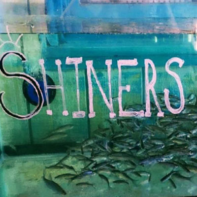 Shiners