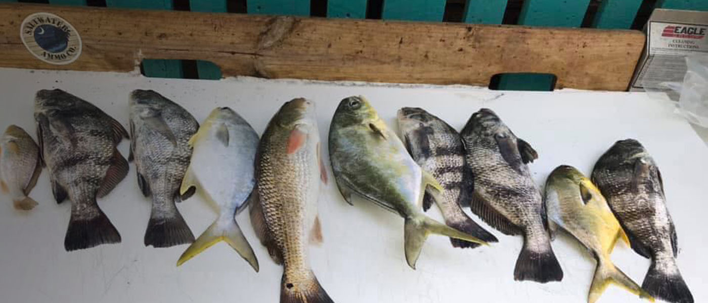 Fish Cleaning Station